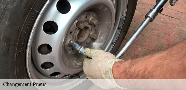 changement-de-pneus-conforme-aux-normes-linas-91310-6