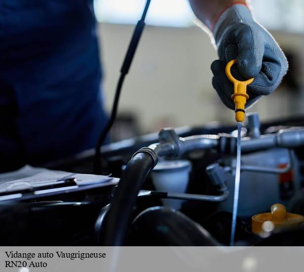 realisation-de-vidange-auto-vaugrigneuse-91640-4