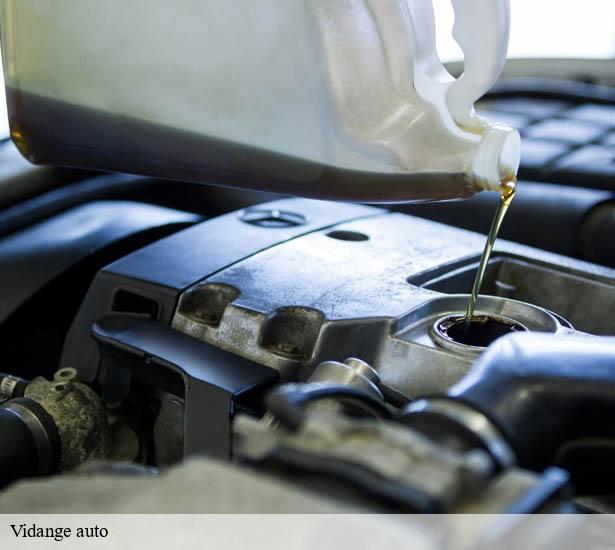 realisation-de-vidange-auto-orsigny-91400-3