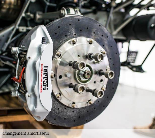 expert-en-changement-amortisseur-gometz-le-chatel-91940-3