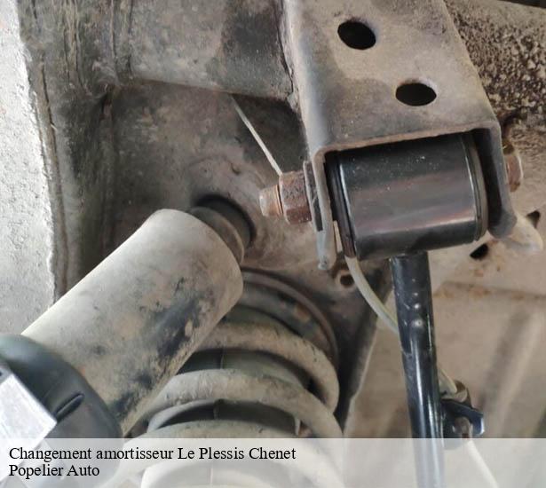 expert-en-changement-amortisseur-le-plessis-chenet-91830-4